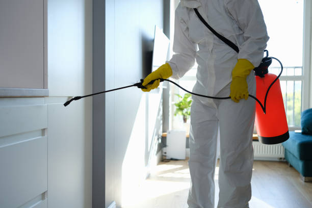 Best Commercial Mold Removal  in Mont Alto, PA