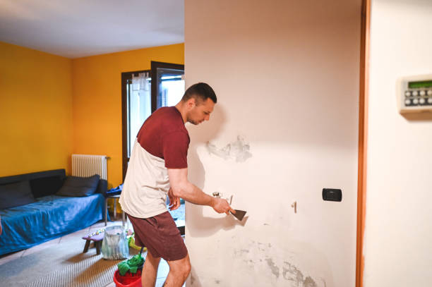 Certified Mold Removal in Mont Alto, PA