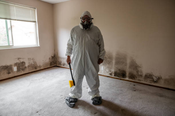 Best Office Mold Removal Services  in Mont Alto, PA